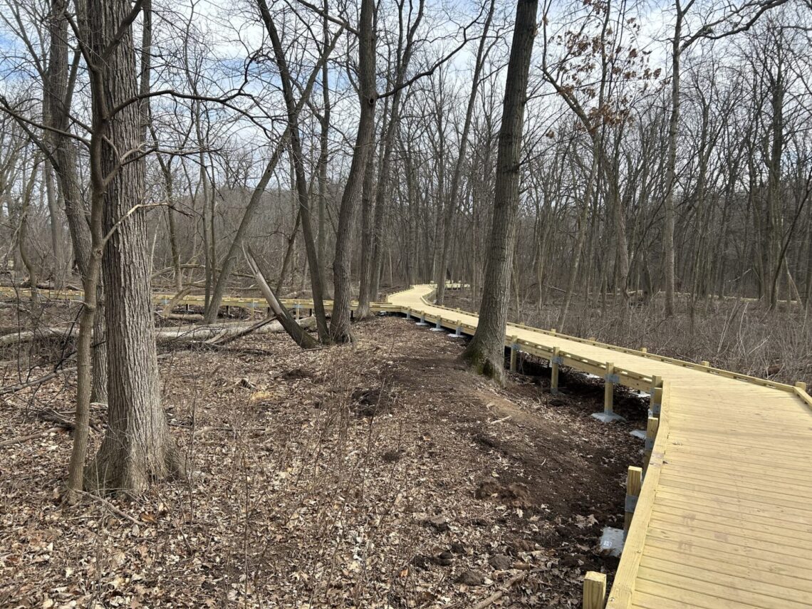 Picture of newly built wood path