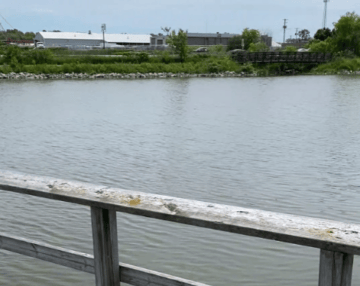 Picture of Kelso Pond from the dock