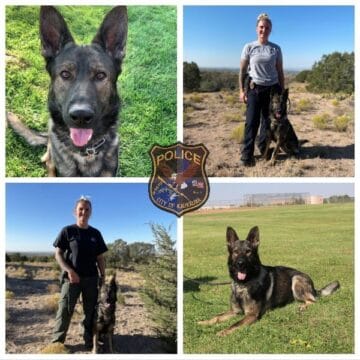 Collage of Officer Maas with Bodo