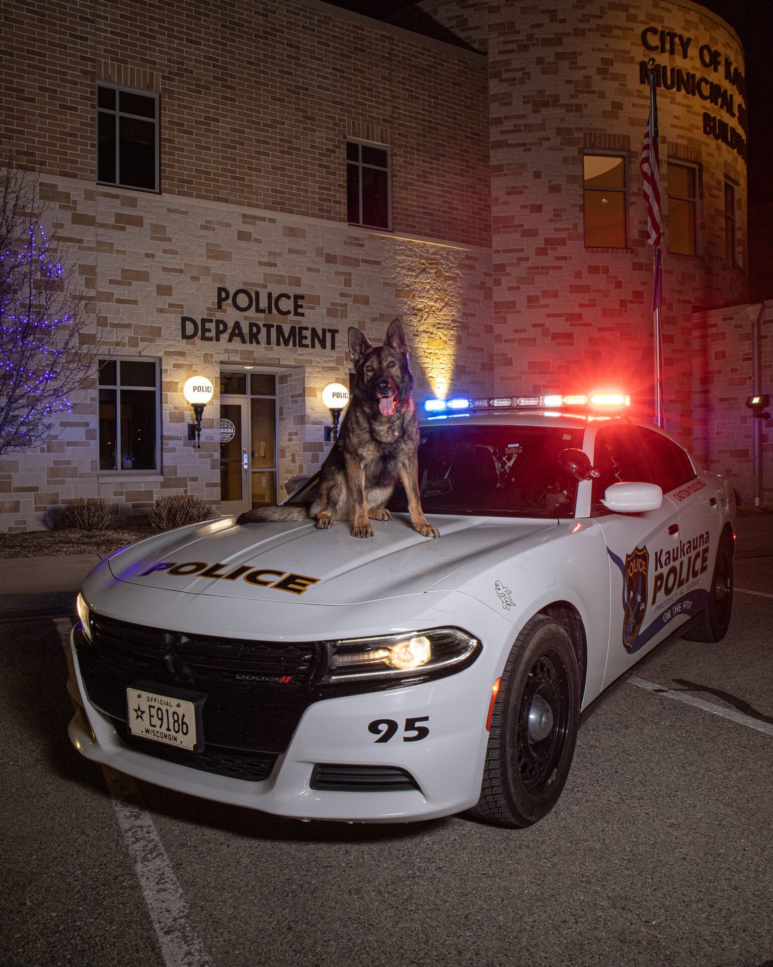 Police vehicle outside Kaukauna Police Department with K9 Bodo sitting on the hood