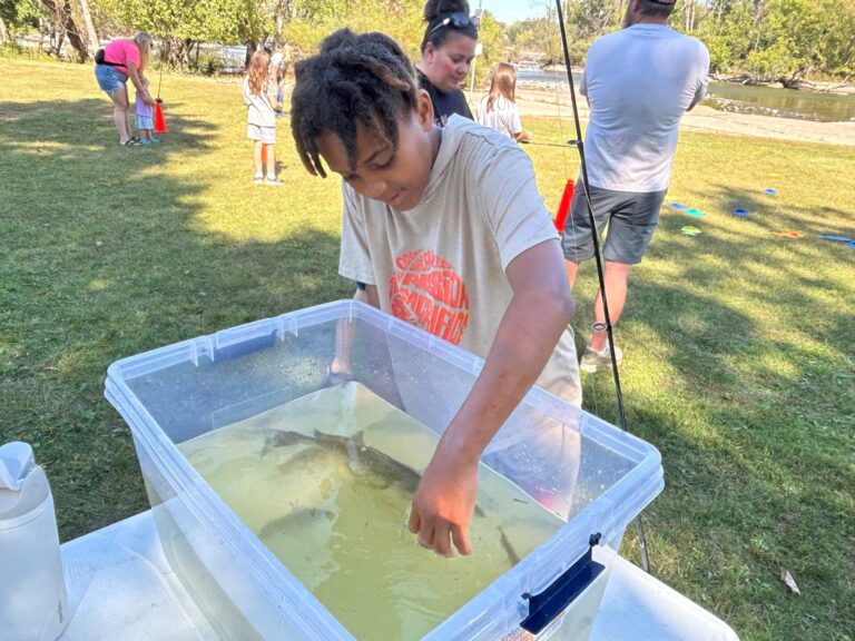 young boy touches fish inside of a clear plastic storage container