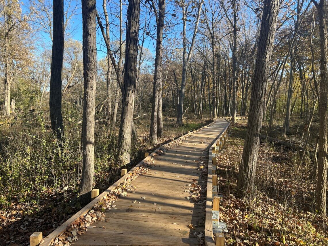 Picture of the boardwalk along the 1000 Islands trail system