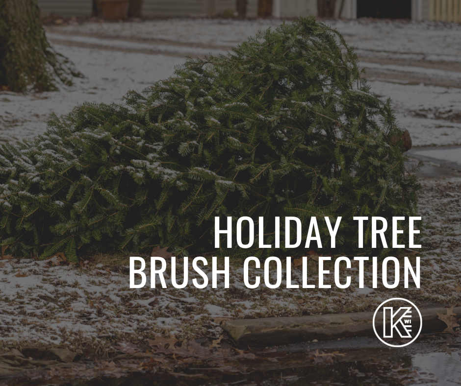 Picture of a discarded holiday tree at the end of a yard for pick up. Wording states holiday tree brush collection
