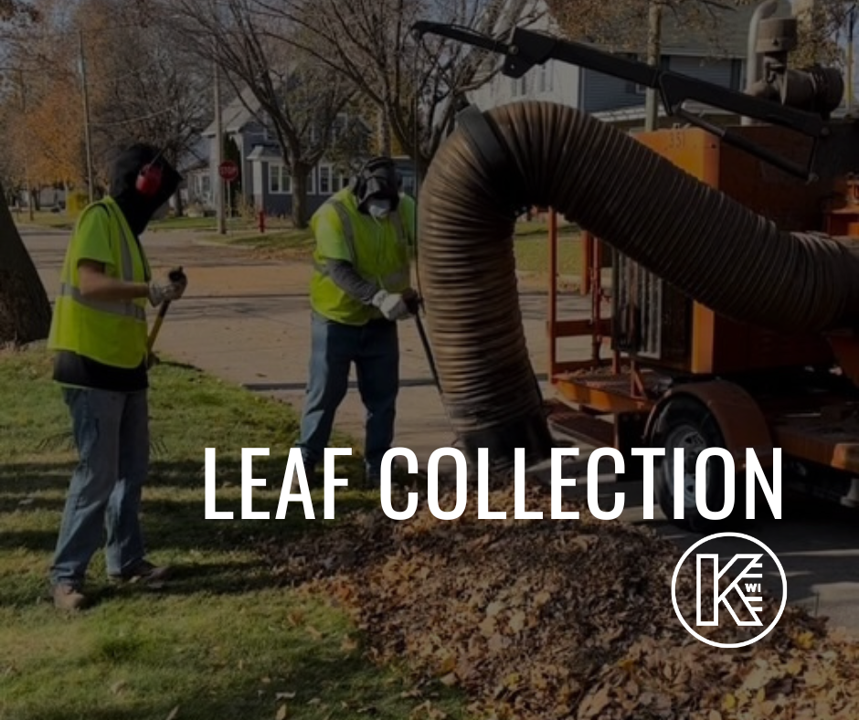 A photo showing street department workers collecting leaves