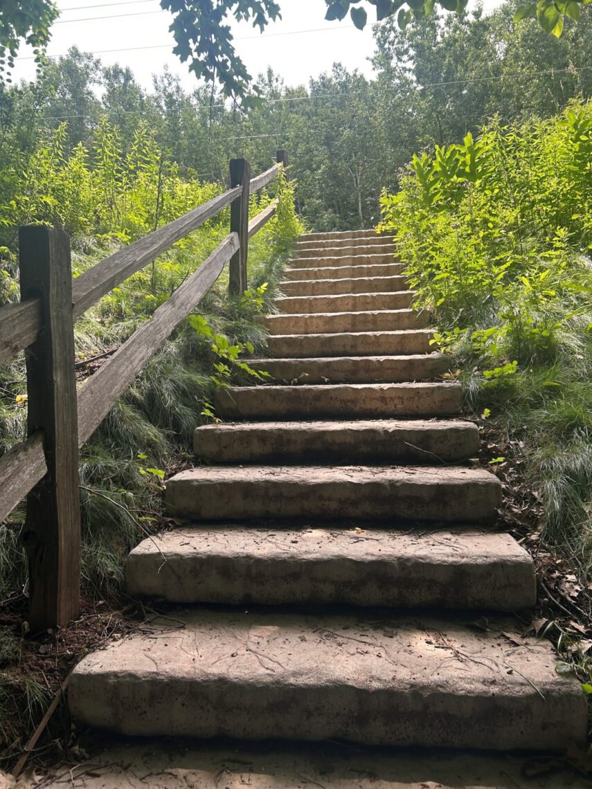 Stairs along the 1000 Islands trail system