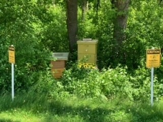 Honey Bee Hives Placed At 1000 Islands